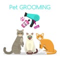 Pet care grooming banner vector illustration. Three cute cats with shampoo, brush and dryer. Web banner of pets grooming