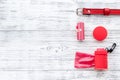 Pet care and red grooming tools with collar on white wooden background top view space for text Royalty Free Stock Photo