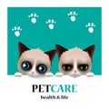 Pet care service, pet shop logo, health and life, cat design, vector illustration.