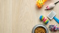 Pet care and training concept. Top view cat and dog accessories and bowl with dry kibble food on wooden table. Veterinary shop Royalty Free Stock Photo