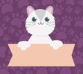 pet cat with banner, animal cartoon domestic