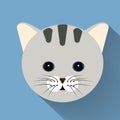Pet cat flat icon with long shadow