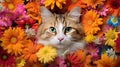 pet cat in flowers