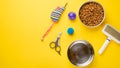 Pet, cat, food and accessories of cat life flat lay, with space for design, on yellow background Royalty Free Stock Photo