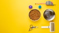 Pet, cat, food and accessories of cat life flat lay, with space for design, on yellow background Royalty Free Stock Photo