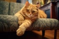 a pet cat purring and rubbing against a leg of furniture Royalty Free Stock Photo