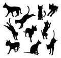 Pet cat silhouettes Royalty Free Stock Photo