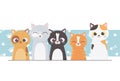 Pet cats differents with paws background cartoon