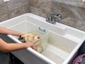 Pet Chicken getting a bath