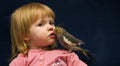 Pet Cockatiel Royalty Free Stock Photo