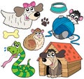 Pet collection 2 Royalty Free Stock Photo