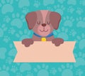 pet cute dog with banner, animal cartoon domestic