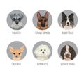 Pet dog breed round badge stickers