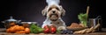 Pet Dog Dressed As A Chef, Ready To Cook Up Some Fun