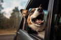 Pet dog enjoys a relaxing car ride, soaking up the sunshine and feeling the breeze on its face