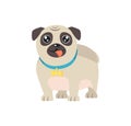 Pet Dog in Flat Design Cartoon Style with Bone Royalty Free Stock Photo