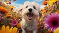 pet dog flower Royalty Free Stock Photo