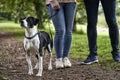 Pet dog and owners standing on footpath