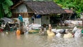 A pet dog sits on a bag to stay dry in a flooded yard in the Philippines.