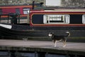 A pet dog stands on the canal dock with canal barges and house boats.