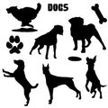 Pet dogs, black silhouette - vector collection