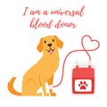 Pet donor concept Royalty Free Stock Photo