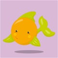 pet fish orange green fish 13