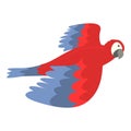 Pet flight icon cartoon vector. Macaw parrot