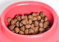 PET FOOD IN BOWL