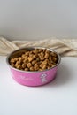 Pet food in bright pink cat feeding bowl with lettering Royalty Free Stock Photo