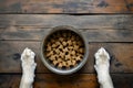 Pet food concept - dry food in a bowl