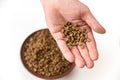Pet food in the open palm of a man`s hand. Adult Male holding dry cat food in his hands. A bowl with triangular granules in the