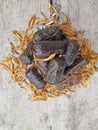 Dog and bird food, snack sausage from hermetia larvae