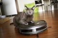 Pet friendly smart vacuum cleaner