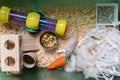 Pet gerbil playing with cardboard tube indoors Royalty Free Stock Photo
