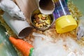 Pet gerbil playing with cardboard tube indoors Royalty Free Stock Photo