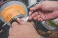 A pet groomer cleans the ear canal of a cat wearing a pet cone with a cotton ball wrapped around a pair of forceps. At a pet salon