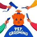 Pet grooming concept. Happy lap-dog and hands with comb, hair dryer, scissors and haircut clipper on white background Royalty Free Stock Photo