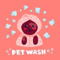 Pet grooming concept. Happy lap-dog in a towel and bathrobe in spa salon. Dog care, grooming, hygiene, health. Pet shop Royalty Free Stock Photo