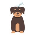 Pet grooming icon cartoon vector. Dog spa Royalty Free Stock Photo