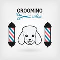 Pet grooming salon design