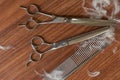 Pet grooming scissors and comb. Royalty Free Stock Photo