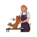 Pet grooming service salon. Professional groomer cuts fur of fluffy dog with scissors. Girl cares about cute puppy Royalty Free Stock Photo