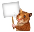 Pet Hamster Holding A Blank Sign