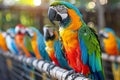 Pet health alert parrot fever risks highlighted in visually striking public safety poster