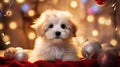 pet holiday puppy Royalty Free Stock Photo