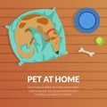 Pet at Home Banner Template with Cute Dog Sleeping on a Mat, View from Above Flat Vector Illustration Royalty Free Stock Photo