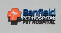 Pet Hospital Sign