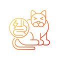 Pet IBD gradient linear vector icon