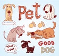 Pet icons doodle set, vector illustration.